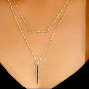 NWTS! Dainty silver Layered Bar Double Necklace